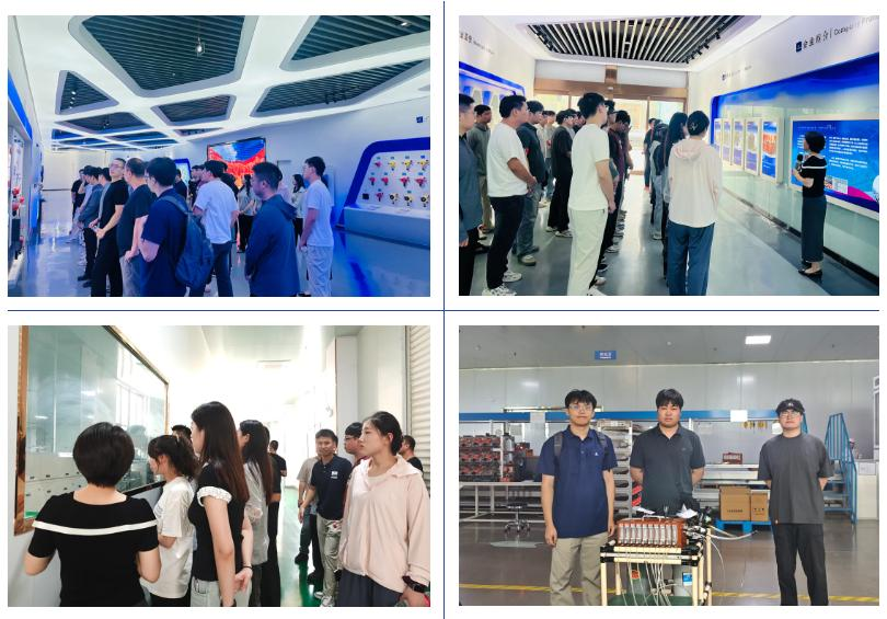  ͼ|۳33772025ԱѵӪԲչ