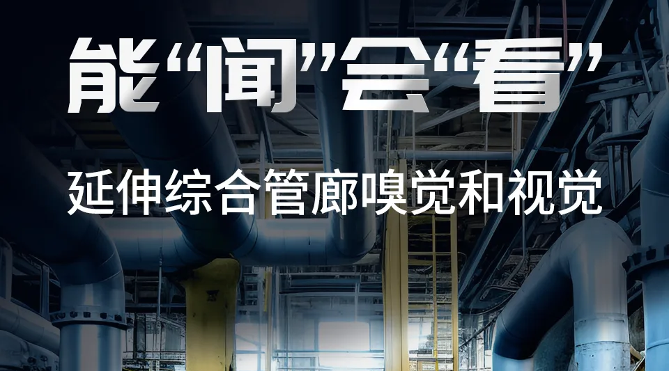 ѧ˶|۳3377ٻ2024Ⱥʡѧ