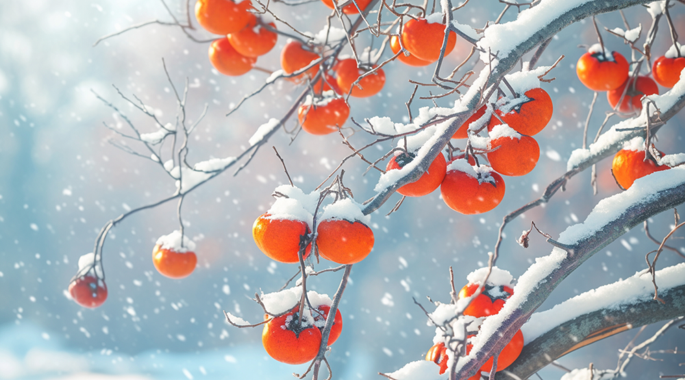 d410a69328f54a019d88281a85030dd1~noop.image__iz=58558&from=article.png d410a69328f54a019d88281a85030dd1~noop.image__iz=58558&from=article.png