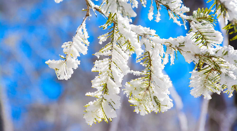 640 (18).png 640 (18).png