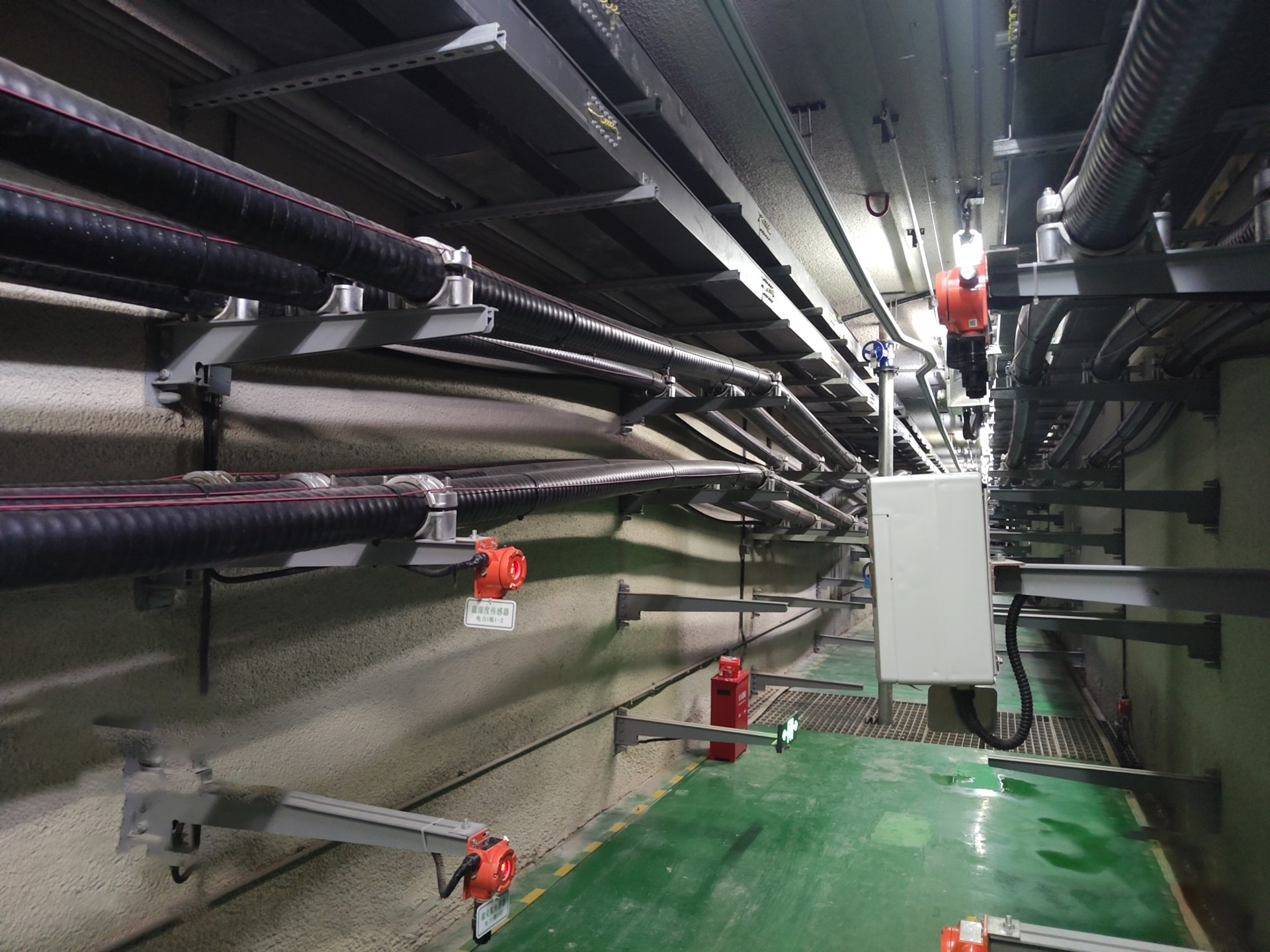 ܱտռж壬Ҫʲô