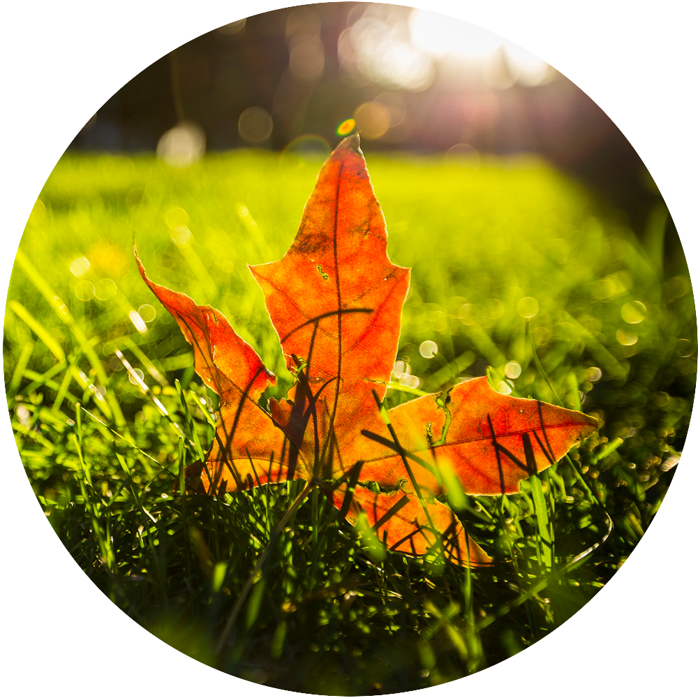 ed07d1c4f9f3417a884cbf567324f4c7~noop.image__iz=58558&from=article.png ed07d1c4f9f3417a884cbf567324f4c7~noop.image__iz=58558&from=article.png